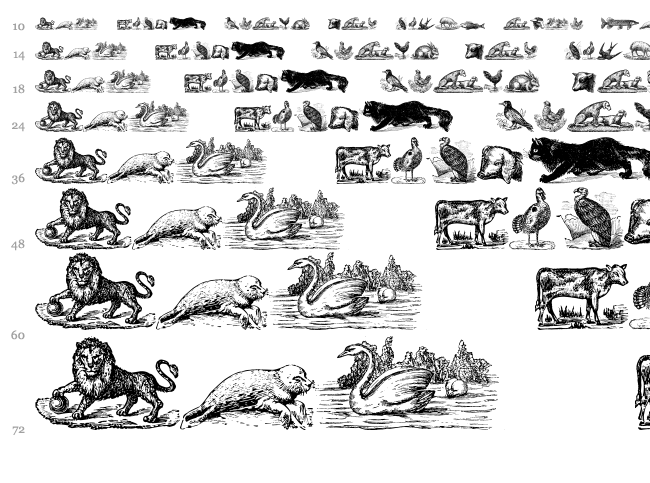 Animals Old Cuts font waterfall